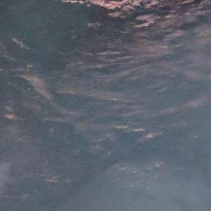 Meet your Posher, Sanam